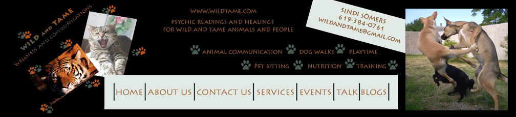 wild and tame banner