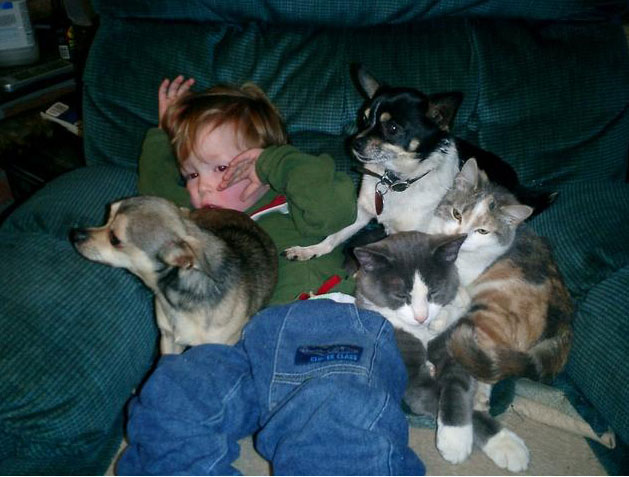 boy with cats and dogs